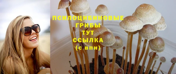 гашик Арсеньев