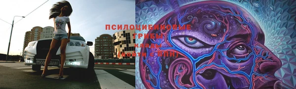 гашик Арсеньев