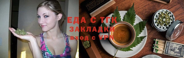 гашик Арсеньев