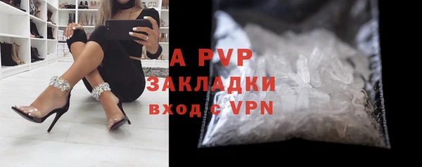 гашик Арсеньев