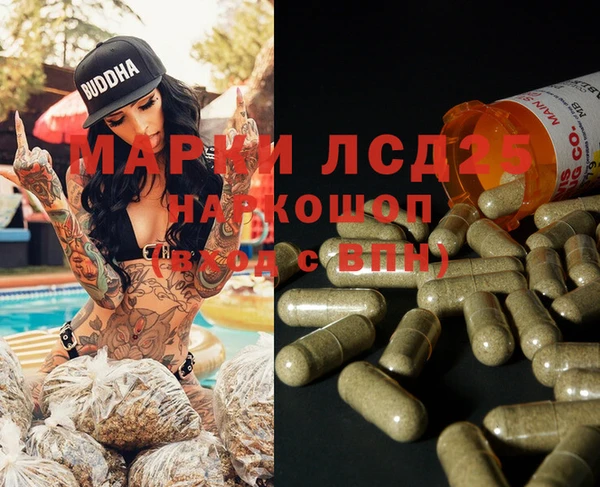 гашик Арсеньев