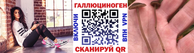 даркнет сайт  дарк нет какой сайт  Галлюциногенные грибы Cubensis  Ленинск 