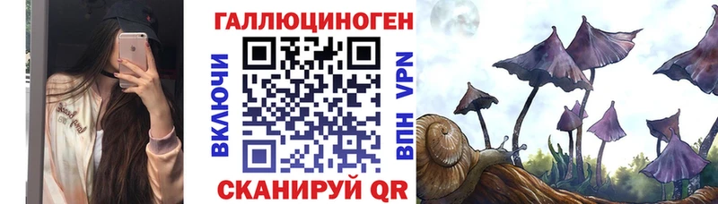 Псилоцибиновые грибы Psilocybe Ленинск