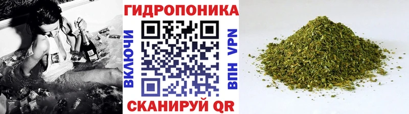 дарнет шоп  Ленинск  Бошки марихуана THC 21% 